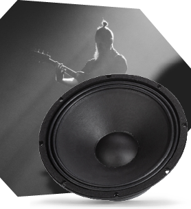RCF Bass Motion Control НЧ-динамики и контроль хода диффузора