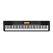Casio CDP-220R