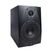 Icon DT-6S Студийный монитор