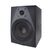 Icon DT-8S Студийный монитор
