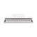 Medeli DP250RB-PVC-WH Цифровое пианино