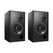 ATC SCM150SL PRO Passive Pair Студийные мониторы