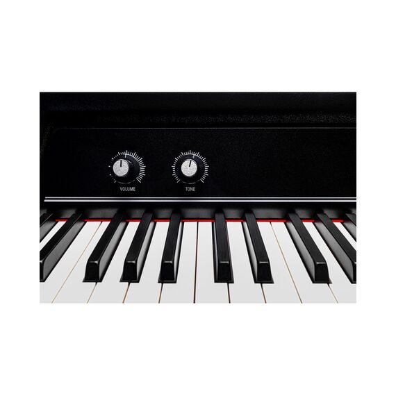 Rhodes Stage 61 Classic Электронное пианино
