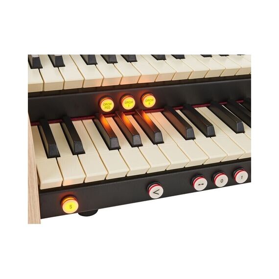 Viscount Cantorum DUO Plus Цифровой орган