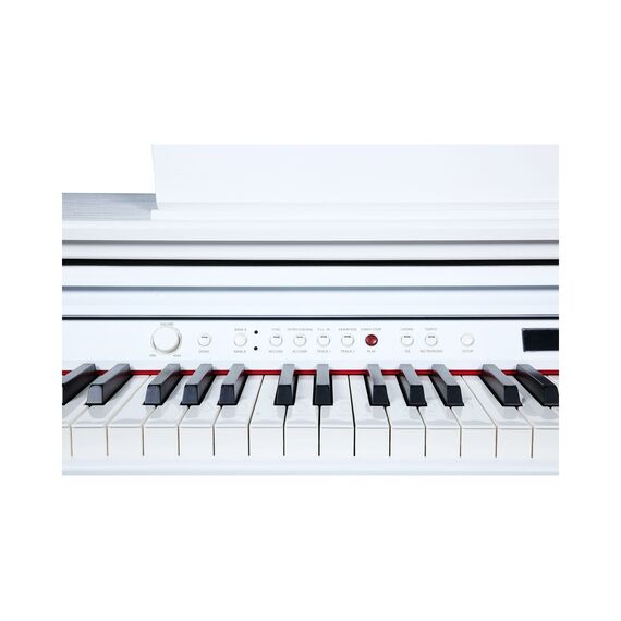 Artesia DP-30 White Цифровое пианино