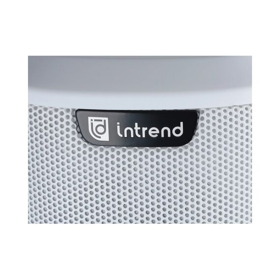 Intrend ITSPK-43DA-W Колонная акустическая система
