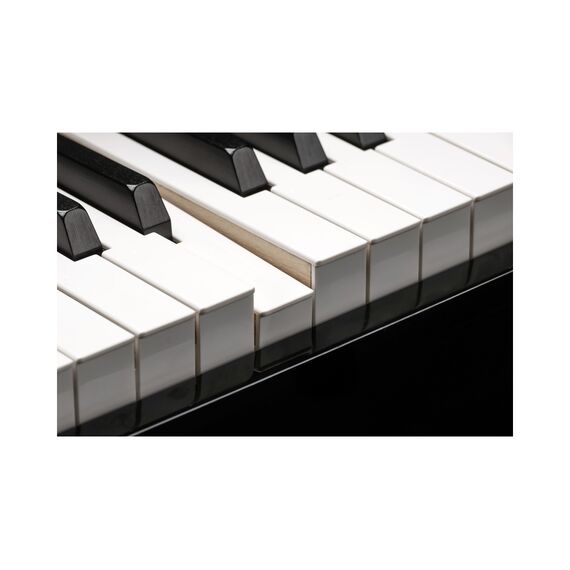 Kurzweil CUP G1W BP Цифровой рояль