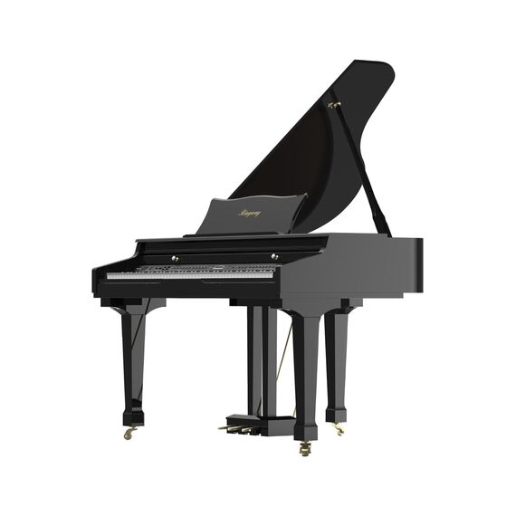 Ringway GDP6320 Polish Black Цифровое рояль