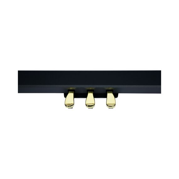 Ringway RP-60 BLK Цифровое пианино