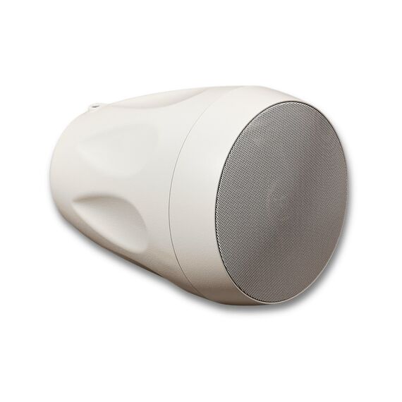 SVS Audiotechnik BWS-60W Потолочная акустическая система