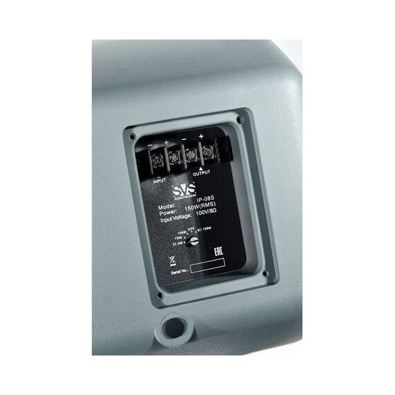 SVS Audiotechnik IP-08S Трансляционный сабвуфер