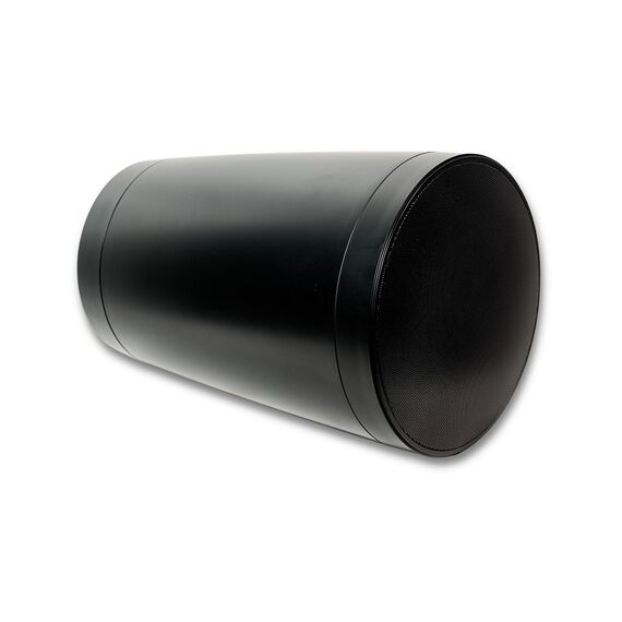 SVS Audiotechnik PAF-PW6B PRO Потолочная акустическая система