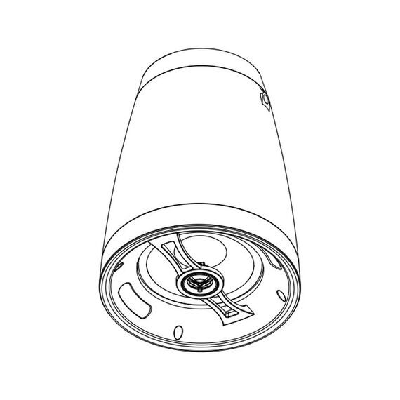 SVS Audiotechnik PAF-PW6B PRO Потолочная акустическая система