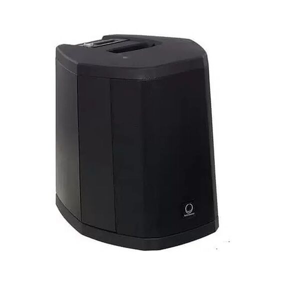 Turbosound IP500 V2 SUB Сабвуфер