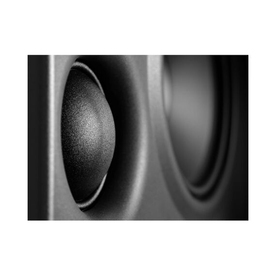 Neumann KH 310 II Left Студийный монитор (левый)