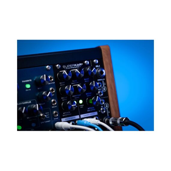 Strymon SuperKar+ Модуль синтезатора