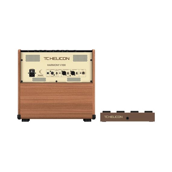 TC Helicon Harmony V100 Комбоусилитель для акустической гитары