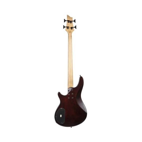 Schecter SGR C-4 WSN Бас-гитара, изображение 2