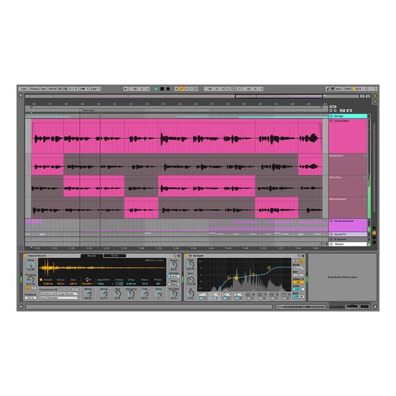Ableton Live 11 Suite UPG from Live Lite (download), изображение 2