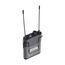 LAudio RWS-IEM Система персонального мониторинга