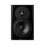 Dynaudio LYD 5 Black Студийный монитор