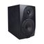 Icon DT-5S Студийный монитор