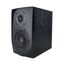 Icon DT-5S Студийный монитор