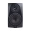 Icon DT-5S Студийный монитор