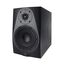 Icon DT-6S Студийный монитор