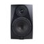 Icon DT-6S Студийный монитор