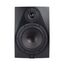 Icon DT-8S Студийный монитор