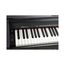 Medeli DP250RB-BK Цифровое пианино