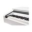 Medeli DP250RB-PVC-WH Цифровое пианино