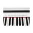 Medeli DP250RB-PVC-WH Цифровое пианино