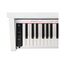 Medeli DP250RB-PVC-WH Цифровое пианино