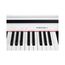Medeli DP250RB-PVC-WH Цифровое пианино