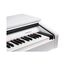 Medeli DP250RB-PVC-WH Цифровое пианино
