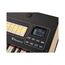 Viscount Cantorum DUO Plus Цифровой орган