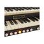 Viscount Cantorum DUO Plus Цифровой орган