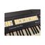 Viscount Cantorum DUO Plus Цифровой орган