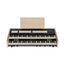 Viscount Cantorum DUO Plus Цифровой орган
