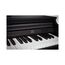 Artesia DP-10e Rosewood Цифровое пианино