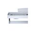 Artesia DP-30 White Цифровое пианино