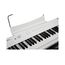 Artesia Performer White Цифровое пианино