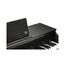 Kurzweil CUP E1 BK Цифровое пианино