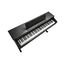 Kurzweil CUP E1 BK Цифровое пианино