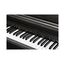 Kurzweil CUP E1 BK Цифровое пианино