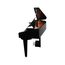 Kurzweil CUP G1W BP Цифровой рояль