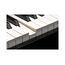Kurzweil CUP G1W BP Цифровой рояль