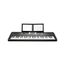 Kurzweil KP90L LB Синтезатор